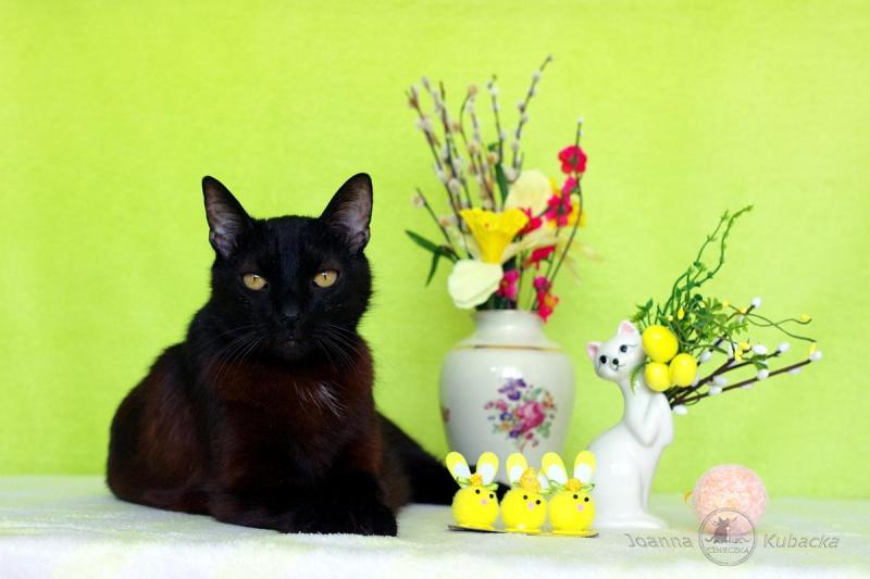 Cineczka21 uploaded   2  day/s  ago