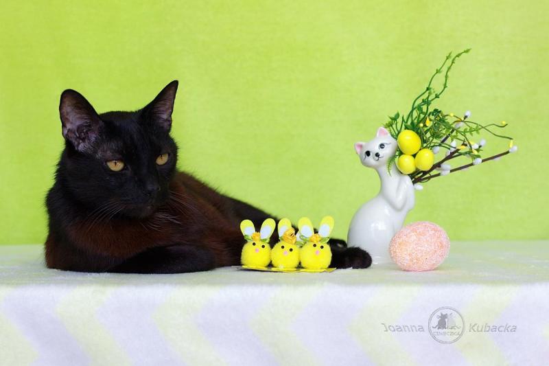 Cineczka21 uploaded   2  day/s  ago