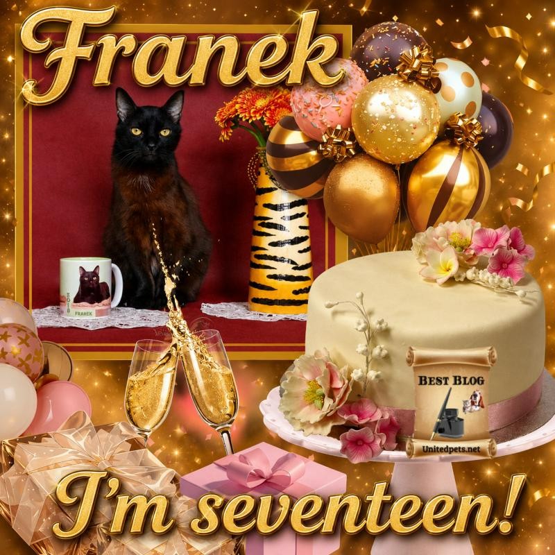 Franek of the Cineczka21 family