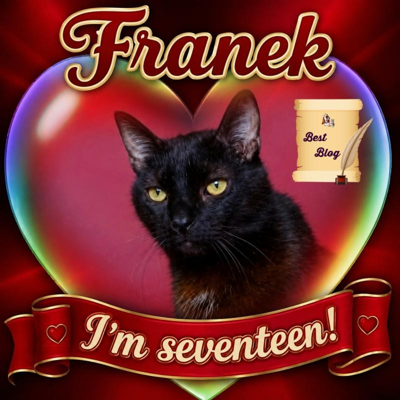Franek of the Cineczka21 family