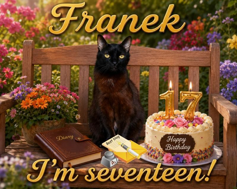 Franek of the Cineczka21 family