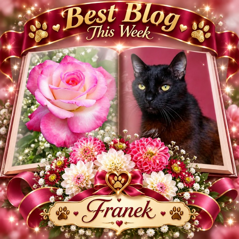 Franek of the Cineczka21 family