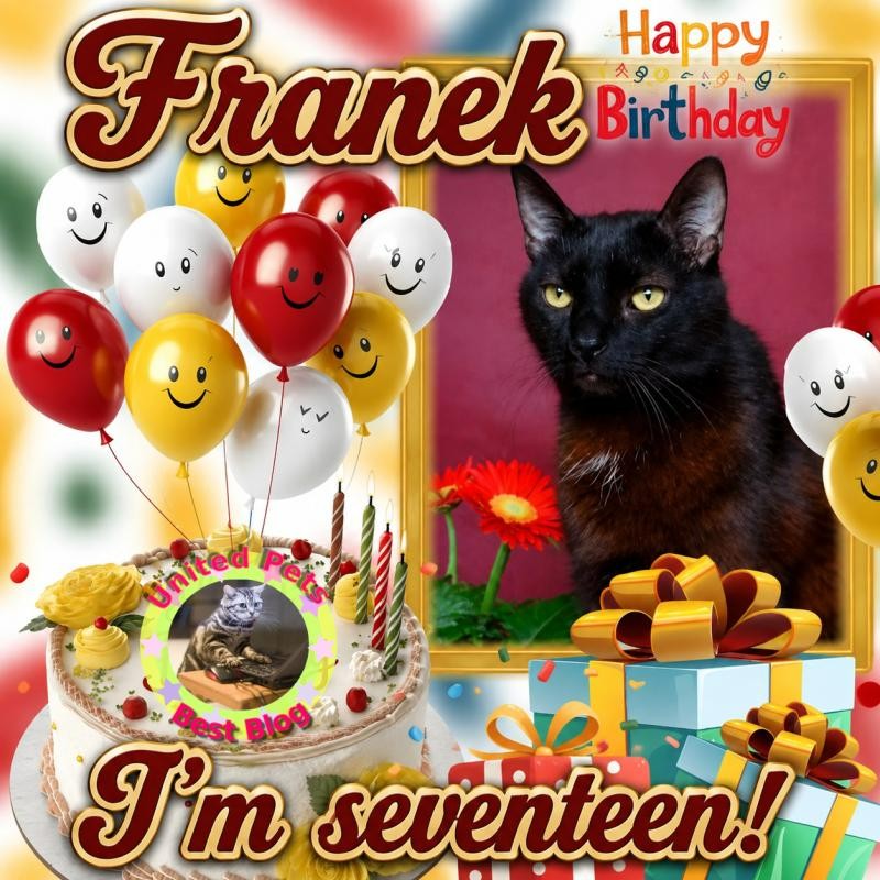 Franek of the Cineczka21 family