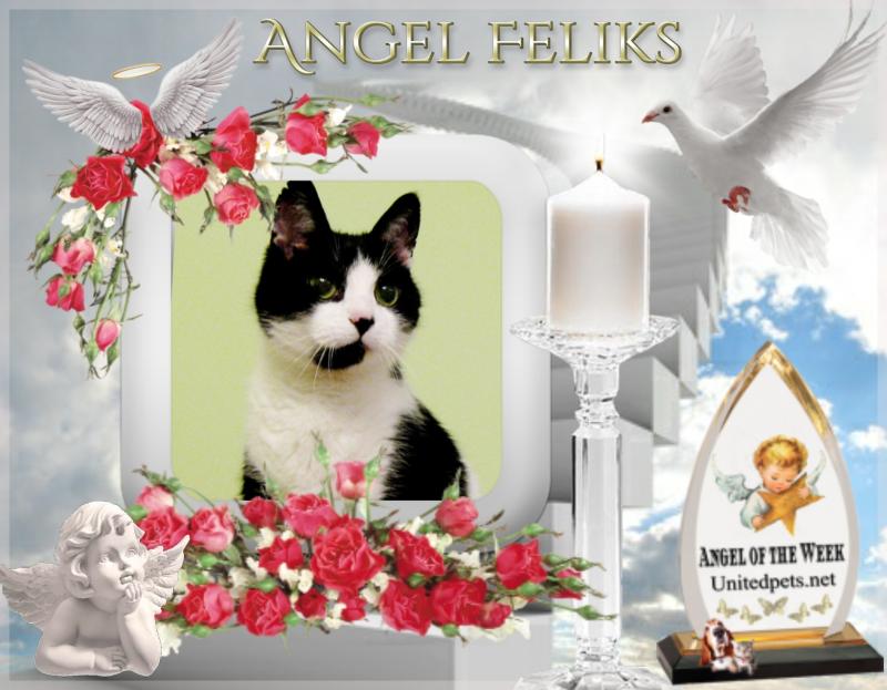 Cineczka21 uploaded   84  day/s  ago