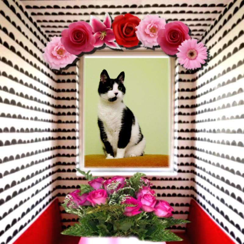 Cineczka21 uploaded   84  day/s  ago