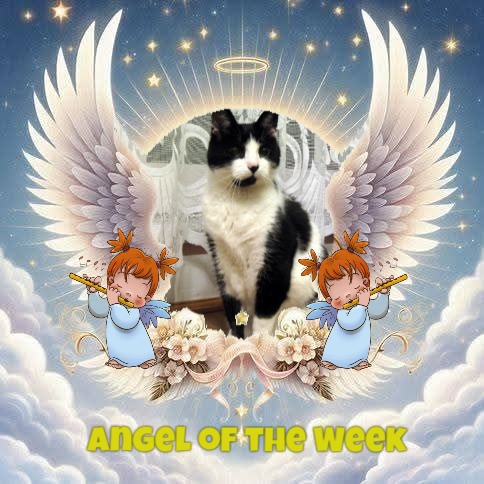 Cineczka21 uploaded   84  day/s  ago