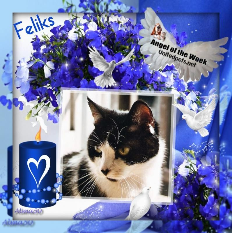 Cineczka21 uploaded   83  day/s  ago