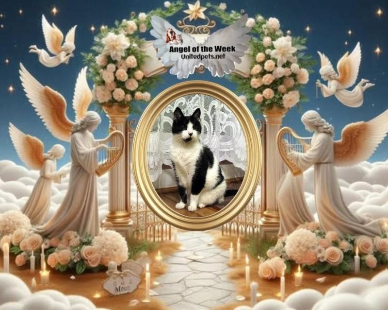 Cineczka21 uploaded   83  day/s  ago