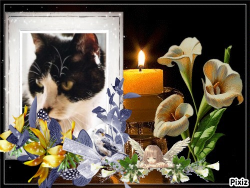 Cineczka21 uploaded   83  day/s  ago