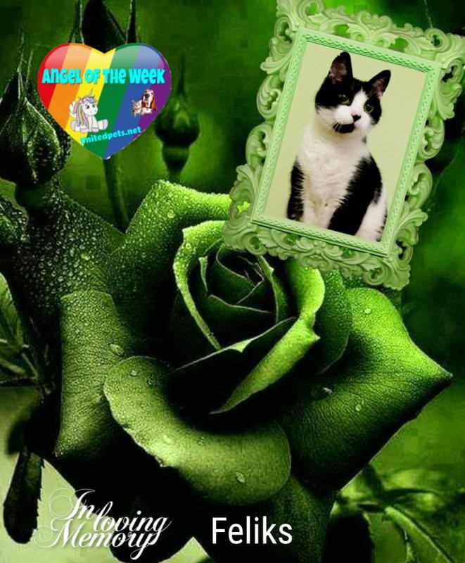 Cineczka21 uploaded   83  day/s  ago