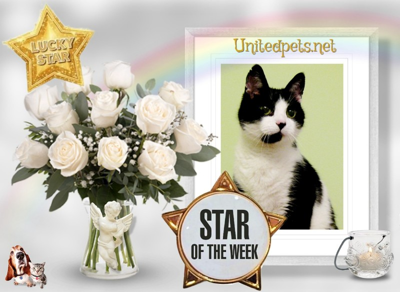 Feliks of the Cineczka21 family