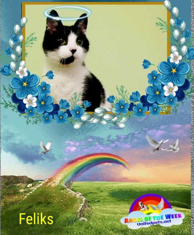 Cineczka21 uploaded   83  day/s  ago