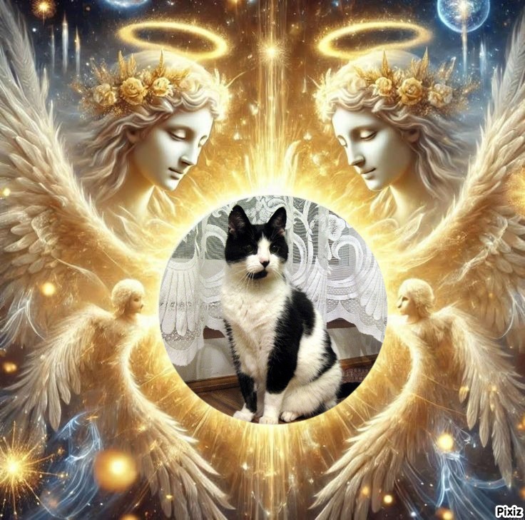 Cineczka21 uploaded   84  day/s  ago