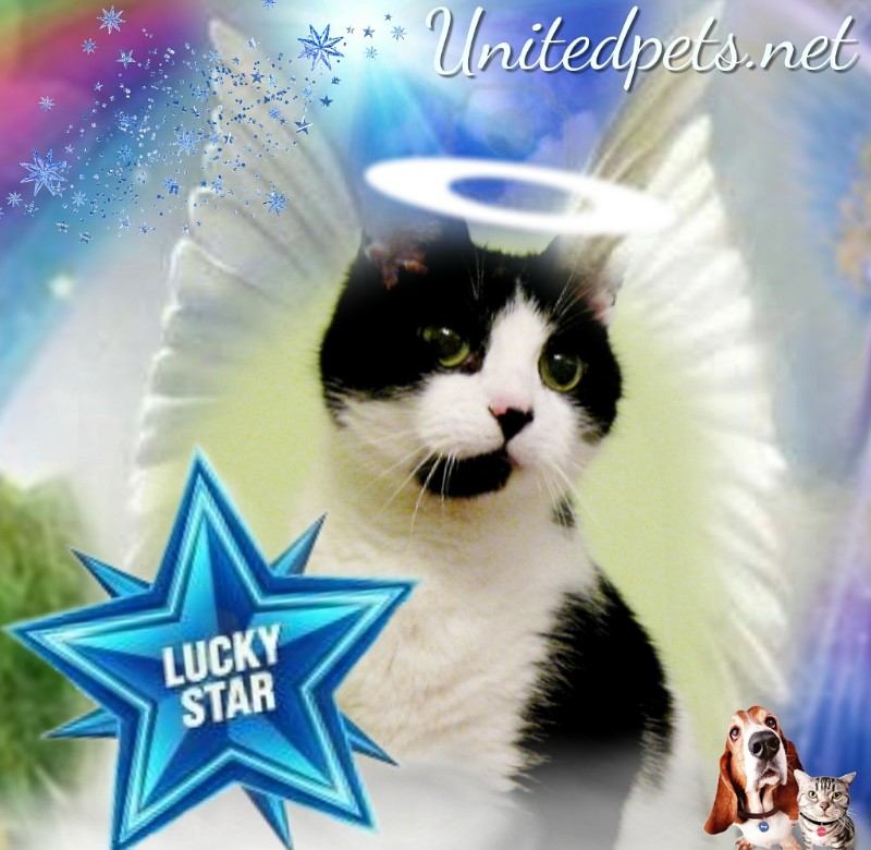 Feliks of the Cineczka21 family