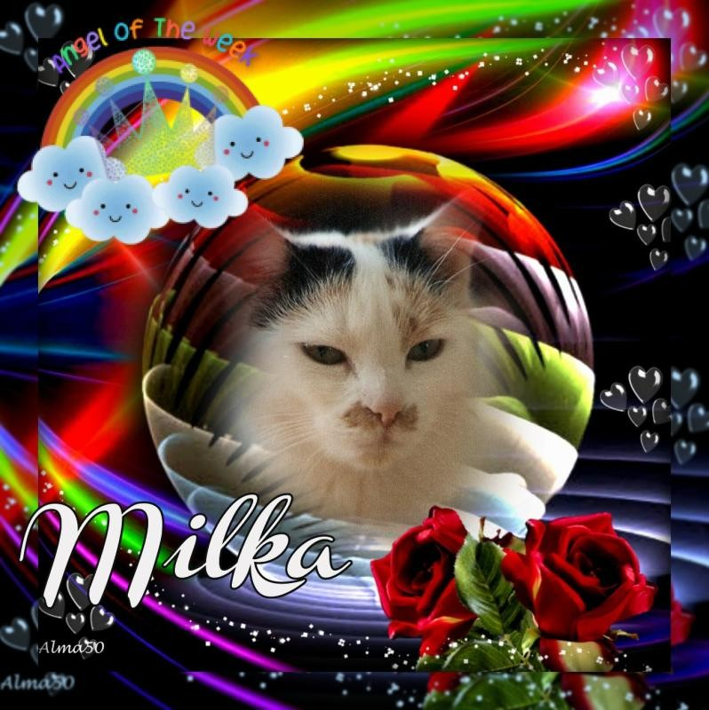 Milka of the Cineczka21 family