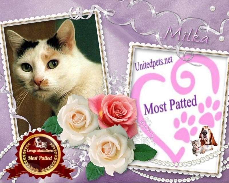 Milka of the Cineczka21 family