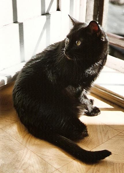 Cineczka21 uploaded   5 year/s ago