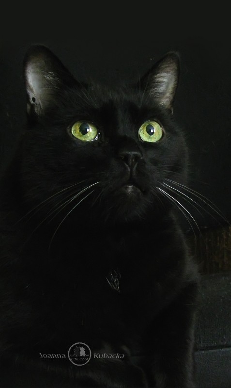 Malutki of the Cineczka21 family