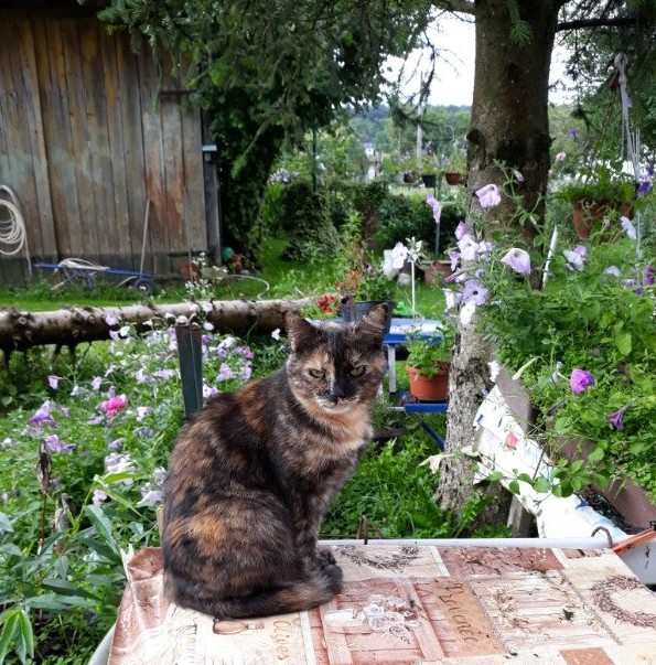 Didi uploaded   7 year/s ago