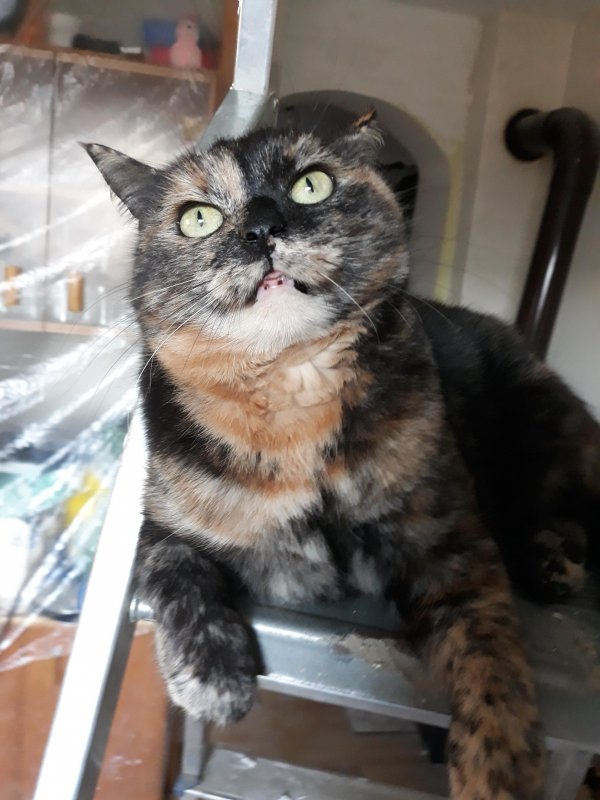 Didi uploaded   5 year/s ago