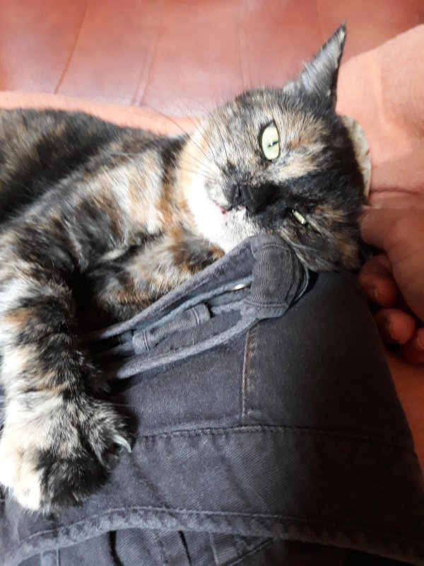 Didi uploaded   5 year/s ago