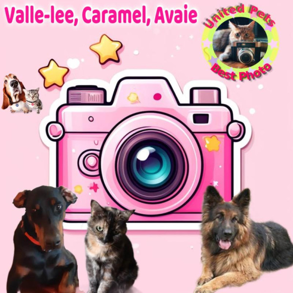 Caramel of the Didi family