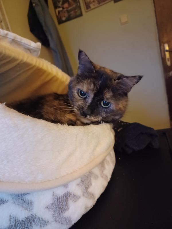 Didi uploaded   1 year/s ago