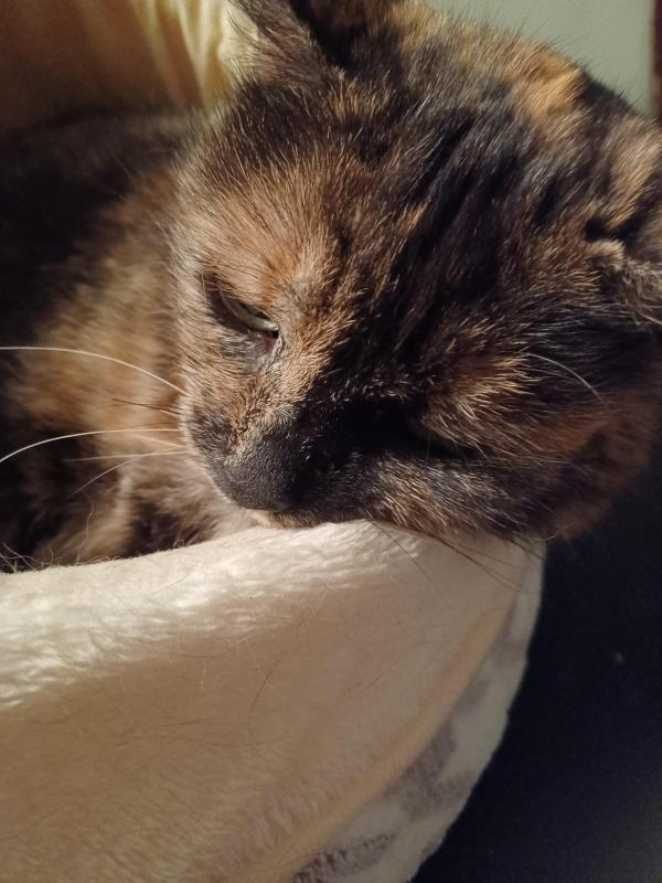 Didi uploaded   1 year/s ago