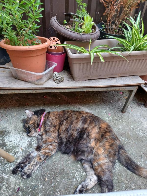 Didi uploaded   322  day/s  ago