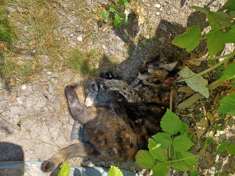 Didi uploaded   313  day/s  ago