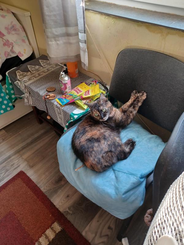 Didi uploaded   270  day/s  ago