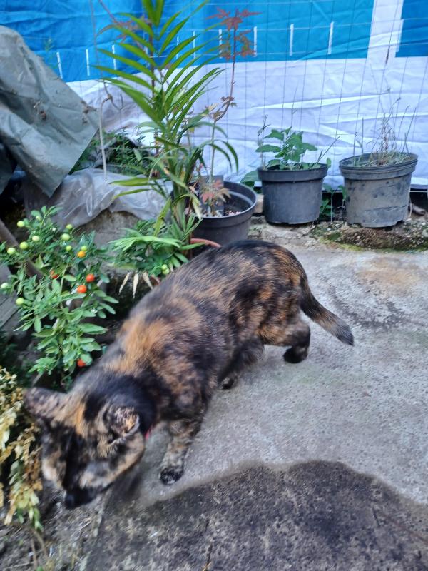 Didi uploaded   254  day/s  ago