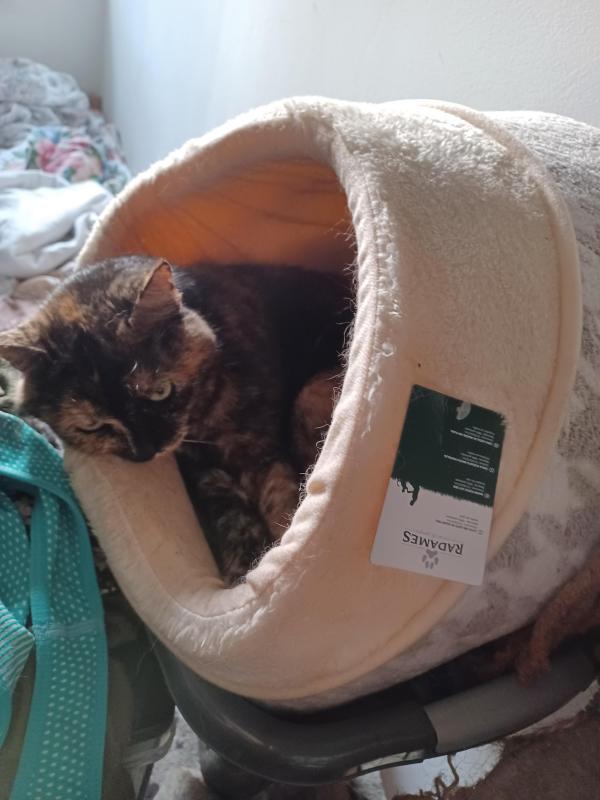 Didi uploaded   226  day/s  ago