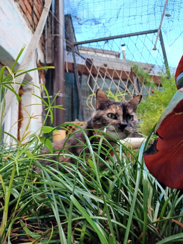 Didi uploaded   136  day/s  ago