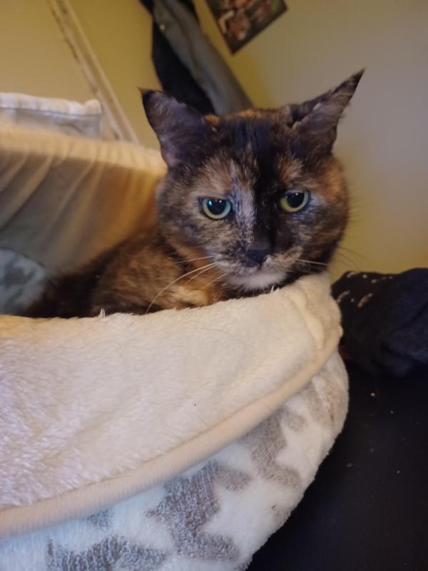 Didi uploaded   1 year/s ago