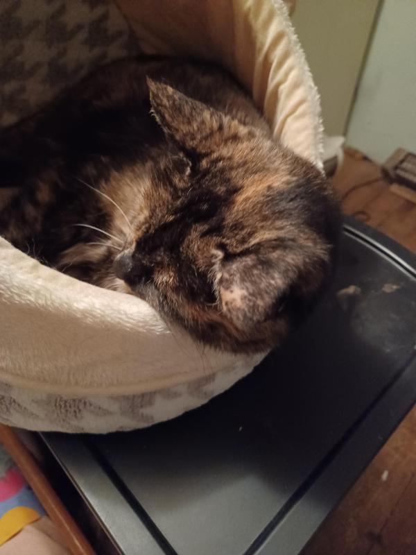 Didi uploaded   1 year/s ago