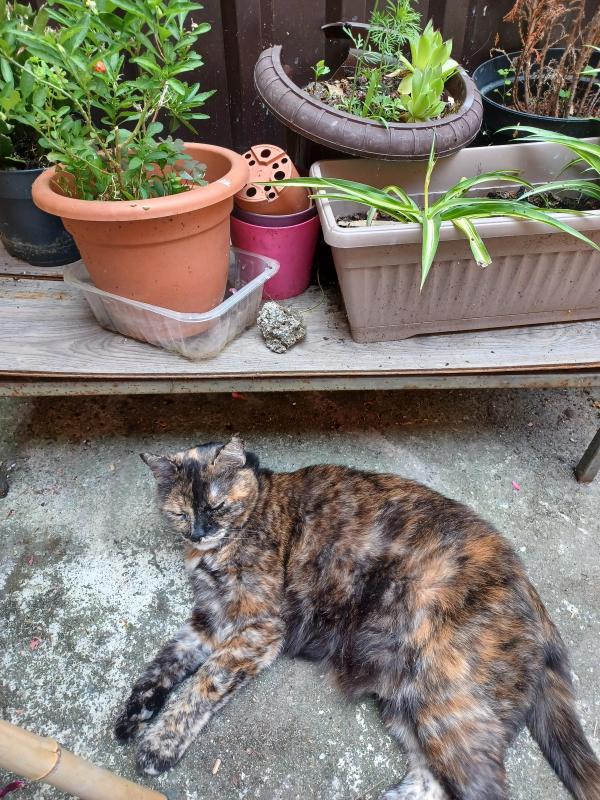 Didi uploaded   322  day/s  ago