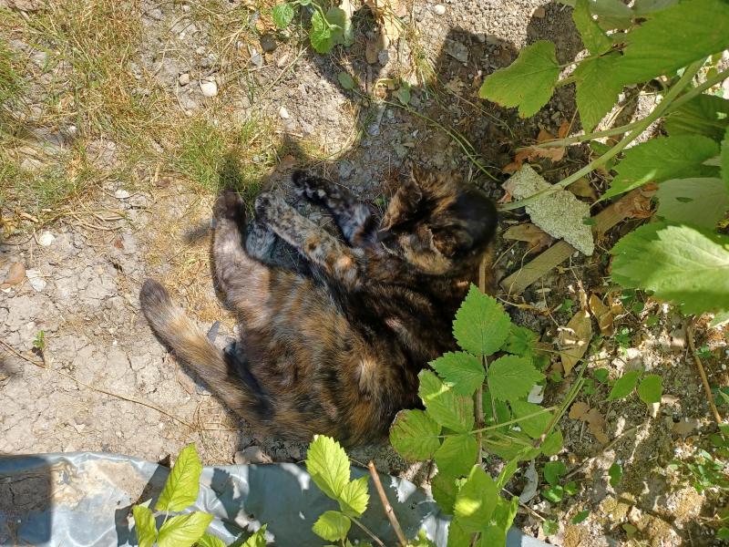 Didi uploaded   313  day/s  ago