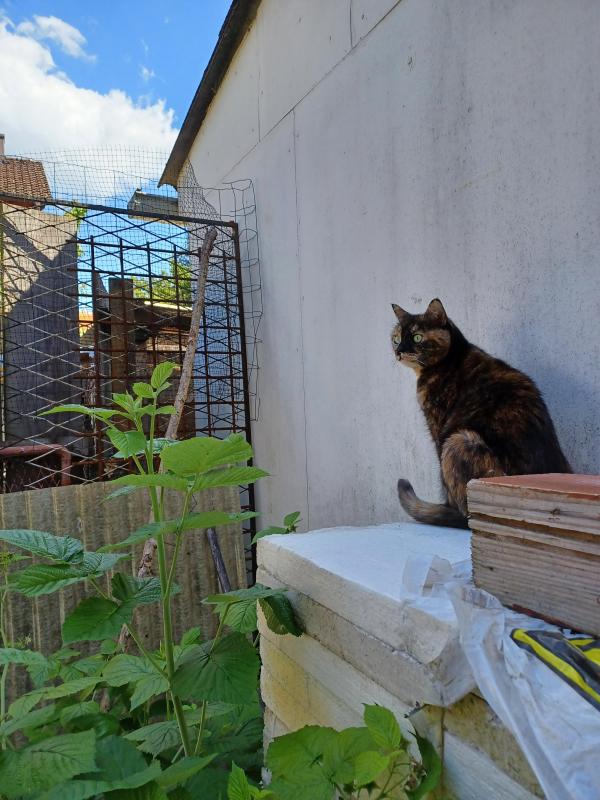 Didi uploaded   327  day/s  ago