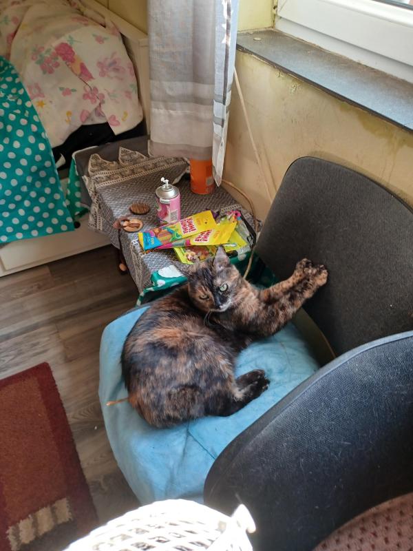 Didi uploaded   270  day/s  ago