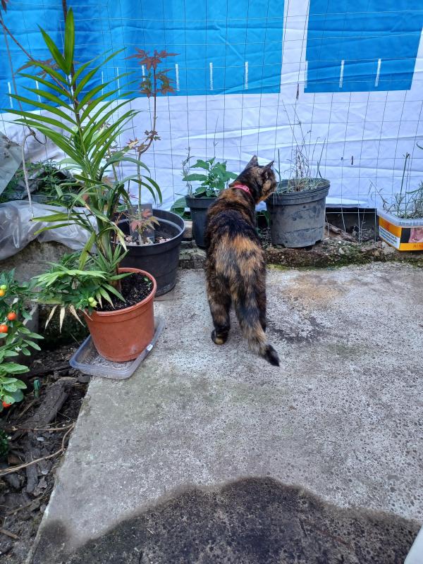 Didi uploaded   254  day/s  ago