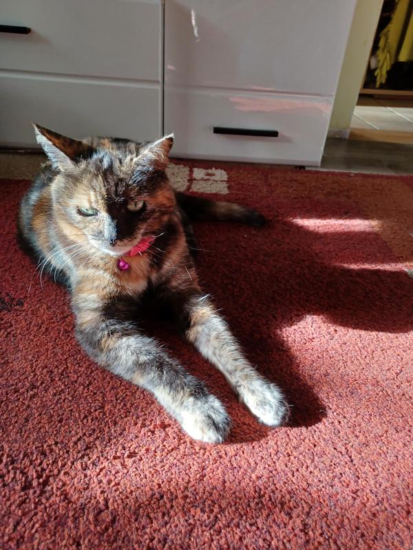 Didi uploaded   241  day/s  ago