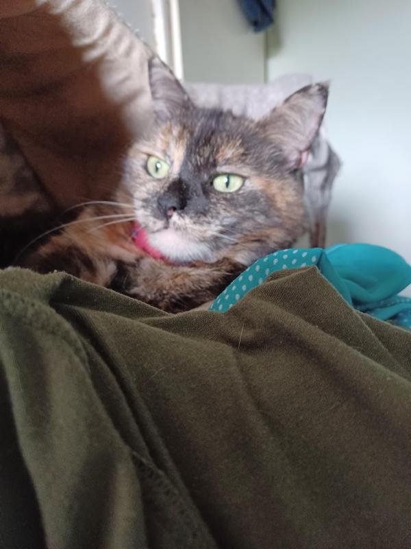 Didi uploaded   215  day/s  ago