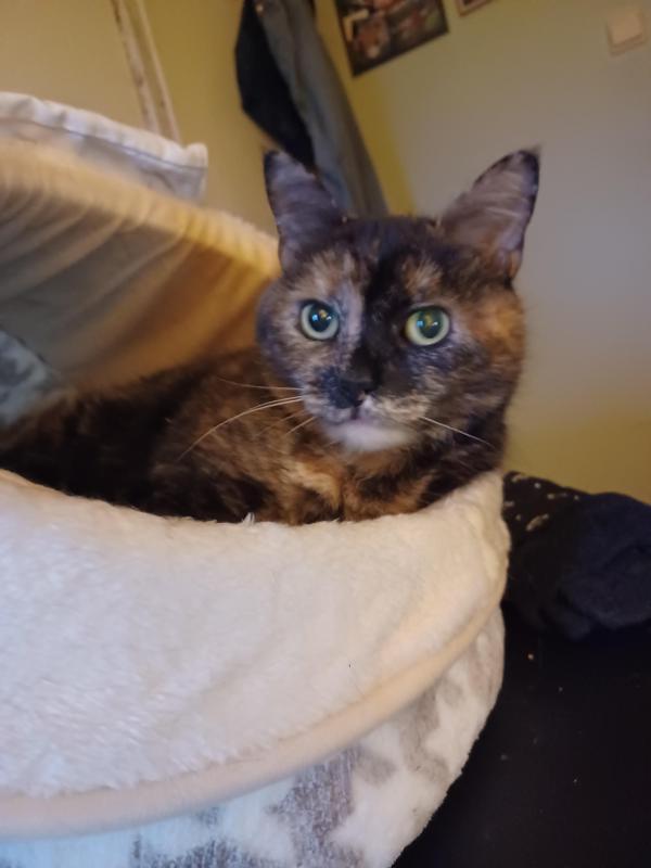 Didi uploaded   1 year/s ago