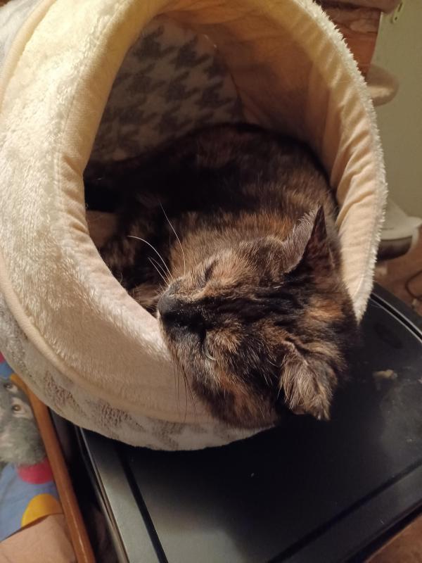 Didi uploaded   1 year/s ago