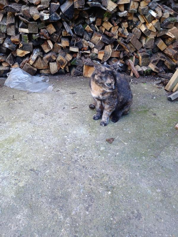 Didi uploaded   357  day/s  ago