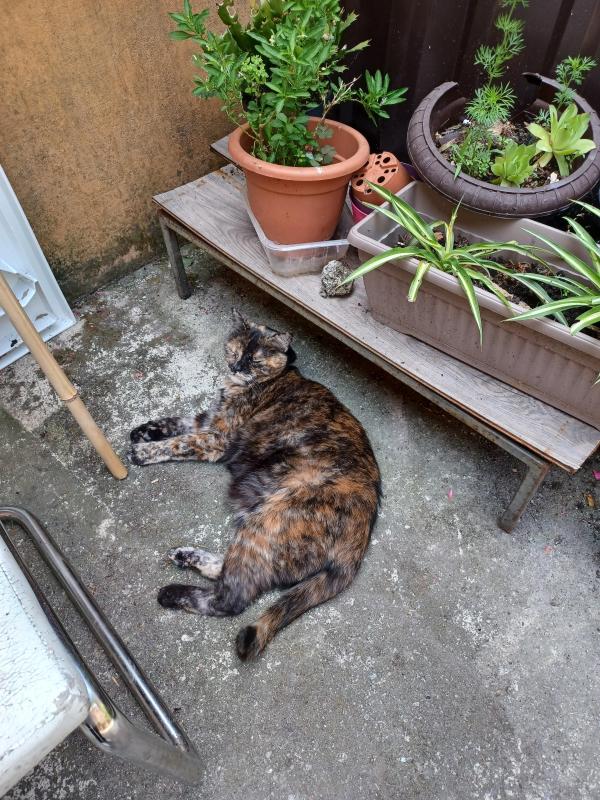 Didi uploaded   322  day/s  ago