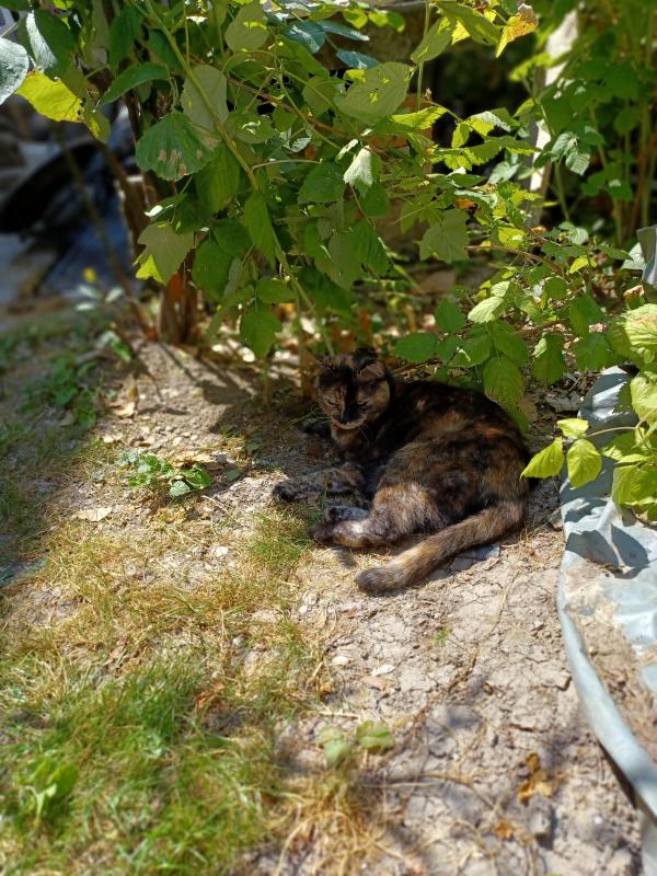 Didi uploaded   313  day/s  ago