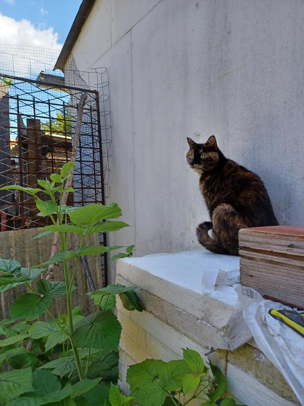 Didi uploaded   327  day/s  ago