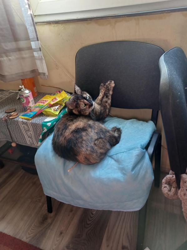 Didi uploaded   270  day/s  ago